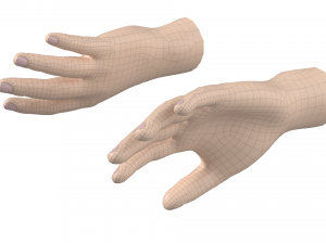 Male Hand Base Mesh 02 Modello 3D