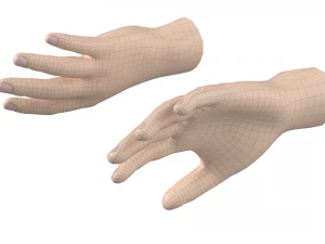 Maglia base mano maschile 02 Modello 3D