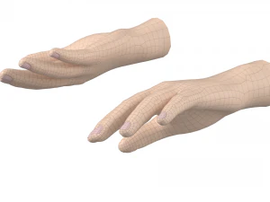 Maglia base mano maschile 02 Modello 3D