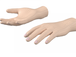 Male Hand Base Mesh 02 Modello 3D