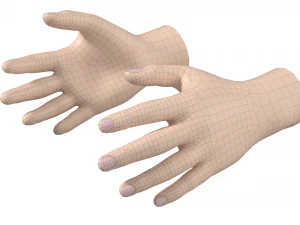 Maglia base mano maschile 02 Modello 3D