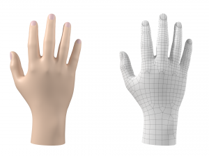 Male Hand Base Mesh 02 Modello 3D