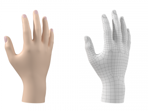 Male Hand Base Mesh 02 Modello 3D