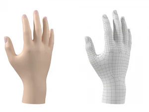 Maglia base mano maschile 02 Modello 3D