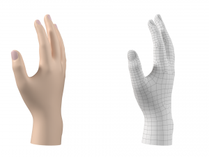 Male Hand Base Mesh 02 Modello 3D