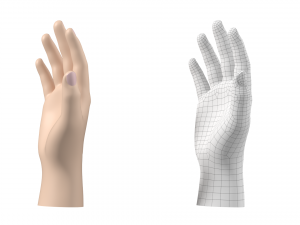 Male Hand Base Mesh 02 Modello 3D