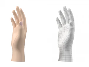 Maglia base mano maschile 02 Modello 3D