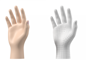Male Hand Base Mesh 02 Modello 3D