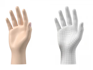 Maglia base mano maschile 02 Modello 3D