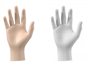 Maglia base mano maschile 02 Modello 3D