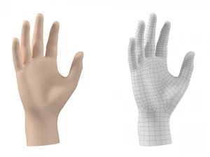 Maglia base mano maschile 02 Modello 3D