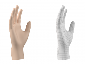 Male Hand Base Mesh 02 Modello 3D