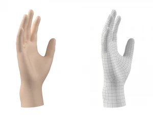 Maglia base mano maschile 02 Modello 3D