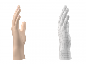 Male Hand Base Mesh 02 Modello 3D
