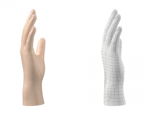 Maglia base mano maschile 02 Modello 3D