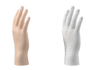 Male Hand Base Mesh 02 Modello 3D
