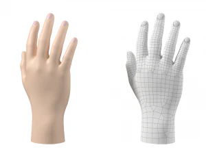 Maglia base mano maschile 02 Modello 3D