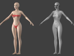 Maglia base stilizzata femminile 01 A-Pose Modello 3D