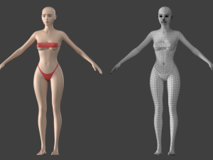 Stylized Female 01 A-Pose Base Mesh 3Dモデル