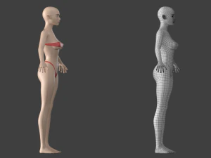 Maglia base stilizzata femminile 01 A-Pose Modello 3D