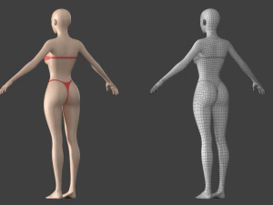 Maglia base stilizzata femminile 01 A-Pose Modello 3D