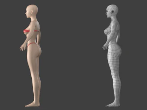 Maglia base stilizzata femminile 01 A-Pose Modello 3D