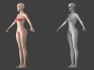 Stylized Female 01 A-Pose Base Mesh 3Dモデル
