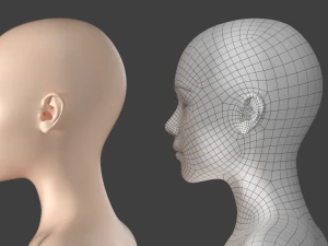 Maglia base stilizzata femminile 01 A-Pose Modello 3D