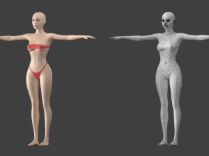 Stilisiertes weibliches 01 T-Pose-Basisnetz 3D Modell