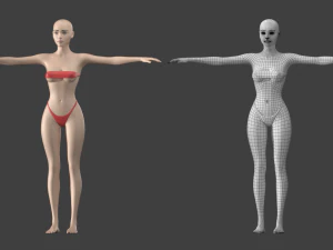 Stilisiertes weibliches 01 T-Pose-Basisnetz 3D Modell