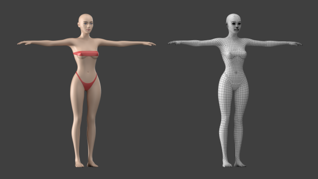 Realistic Female Body Base Mesh 3D Model in Anatomy 3DExport