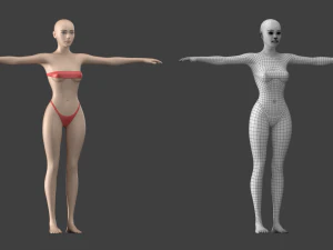 Stilisiertes weibliches 01 T-Pose-Basisnetz 3D Modell