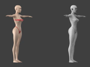 Stilisiertes weibliches 01 T-Pose-Basisnetz 3D Modell