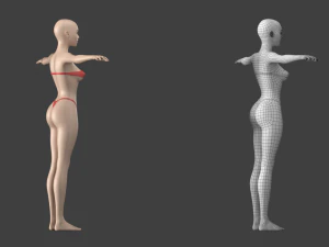 Stilisiertes weibliches 01 T-Pose-Basisnetz 3D Modell