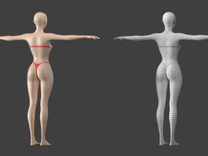 Stilisiertes weibliches 01 T-Pose-Basisnetz 3D Modell