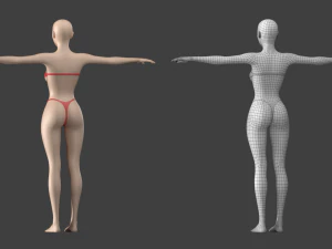 Stilisiertes weibliches 01 T-Pose-Basisnetz 3D Modell