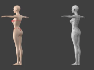 Stilisiertes weibliches 01 T-Pose-Basisnetz 3D Modell