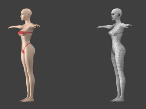 Stilisiertes weibliches 01 T-Pose-Basisnetz 3D Modell