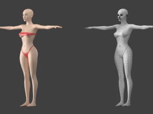 Stilisiertes weibliches 01 T-Pose-Basisnetz 3D Modell