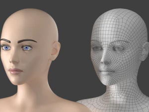 Stilisiertes weibliches 01 T-Pose-Basisnetz 3D Modell