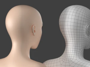 Stilisiertes weibliches 01 T-Pose-Basisnetz 3D Modell