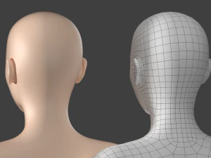 Stilisiertes weibliches 01 T-Pose-Basisnetz 3D Modell