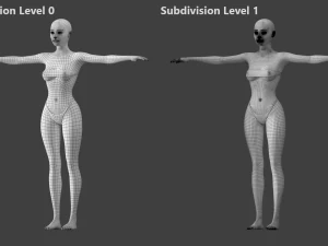 Stilisiertes weibliches 01 T-Pose-Basisnetz 3D Modell