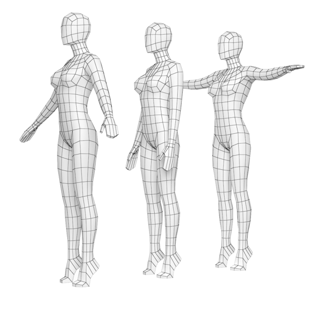 Natural Female On Toes In 3 Modeling Poses Base Mesh Modello 3D .c4d .max .obj .3ds .fbx .stl .blend 