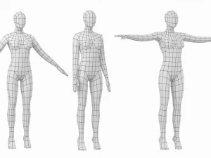 3 मॉडलिंग पोज में पैर की उंगलियों पर प्राकृतिक महिला बेस मेश 3D मॉडल