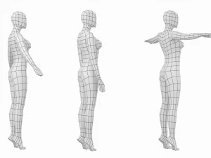 3 मॉडलिंग पोज में पैर की उंगलियों पर प्राकृतिक महिला बेस मेश 3D मॉडल