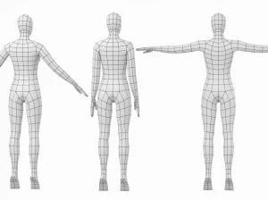 3 मॉडलिंग पोज में पैर की उंगलियों पर प्राकृतिक महिला बेस मेश 3D मॉडल