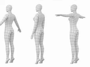 3 मॉडलिंग पोज में पैर की उंगलियों पर प्राकृतिक महिला बेस मेश 3D मॉडल