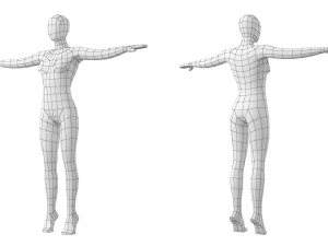 3 मॉडलिंग पोज में पैर की उंगलियों पर प्राकृतिक महिला बेस मेश 3D मॉडल