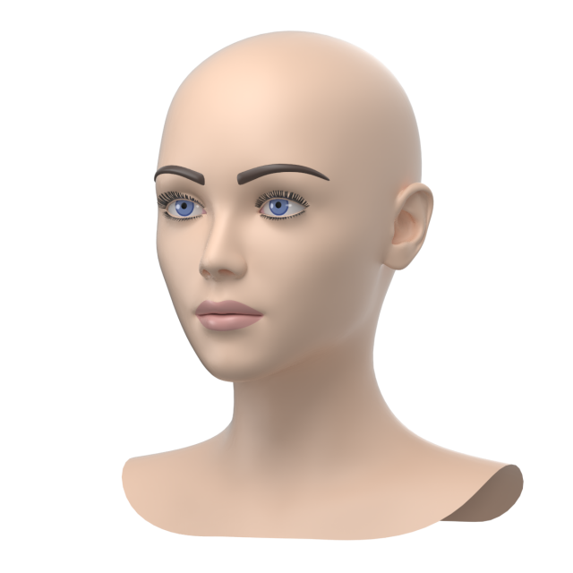 Stylized Female 01 Head Base Mesh 3D Модель .c4d .max .obj .3ds .fbx .stl .blend 